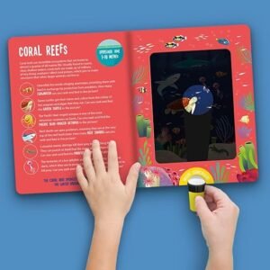 Seek and Find Ocean Animals - Image 3