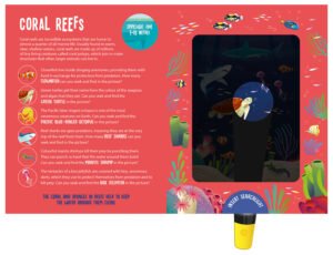 Seek and Find Ocean Animals - Image 7
