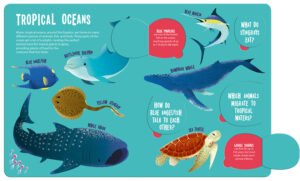 Seek and Find Ocean Animals - Image 5