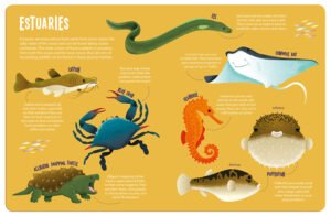 Seek and Find Ocean Animals - Image 6