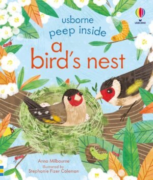 Peep Inside Series - A Bird's Nest