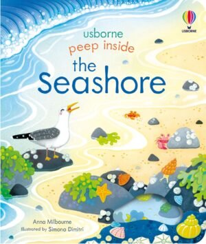 Peep Inside Series - The Seashore