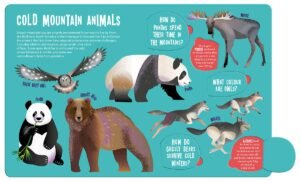 Seek and Find Animals - Image 5