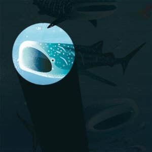 Seek and Find Animals - Image 3